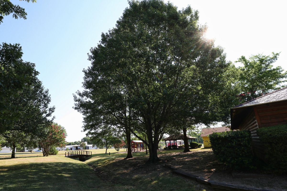 city park with trees and playground